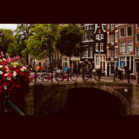 Augu loma ūdens apritē pilsētās