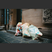 Iespējas ietekmēt vides politiku: vai cilvēkiem ir vēlme to darīt un pietiek zināšanu