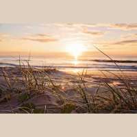 Aizvadīta salīdzinoši vēsā vasara: 20.gs.vidū šī būtu bijusi silta vasara