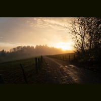 Kāpēc tieši rudenī ir daudz miglas?