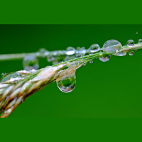 Gaisa mitrums - tas ietekmē cilvēku pašsajūtu un veselību