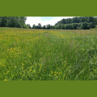 Dabas inventarizācijas rezultāti neiepriecina: strauji zaudējam bioloģisko daudzveidību