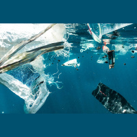 Atkritumi jūras piekrastē. Vērtības atkritumu poligonos un ražošanas blakusproduktos