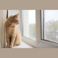 Cietvielu fizikas institūta pētnieki ir radījuši viedos logus