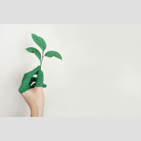 Virtuļa princips ekoloģijā: cik tālu esam aizvirzījušies?