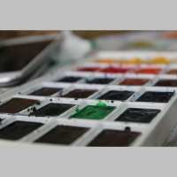 Citas maņas ietekmē to, kā redzam un uztveram pasauli sev apkārt