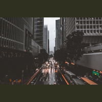 Koku labsajūta pilsētā un koku veselības pārbaudes