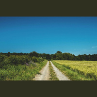 Laikapstākļu, klimata un augsnes savstarpēja mijiedarbe