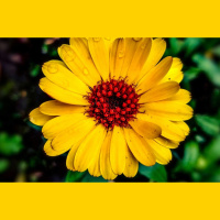 Statistika sola, ka jūlijam un augustam jābūt siltākam par jūniju