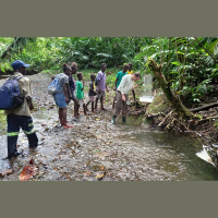 Latvijas entomologi atgriezušies no ekspedīcijas Zālamanu salās