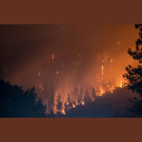 Pētnieki: Ugunsgrēki dabai nedara neko sliktu