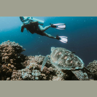 Kādas izmaiņas notiek cilvēka organismā, ienirstot jūras dzelmē?