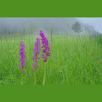 Skaidrojam, cik var paļauties uz laikapstākļu paredzējumiem ticējumos