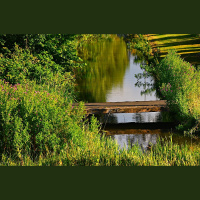 Pētnieki: Vajadzīgs vairāk mākslīgo mitrāju, kas attīra no lauksaimniecības notekūdeņiem