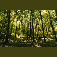 Vides NVO pārstāvji vērtē jauno Nacionālo klimata un enerģētikas plānu