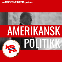 Trumps krig mot demokratene