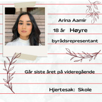 Emneknaggen, Arina Aamir