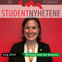 Valg 2019: MDG: Sykkel og bil // Tegnespråk-studie // Faddervaktordning