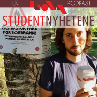 Ulovlig markagrilling / Sparetips til Oslo-studenten / Into The Woods / Karakterenes betydning