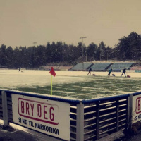 #4 Fløy, Vindbjart, Start og Cup