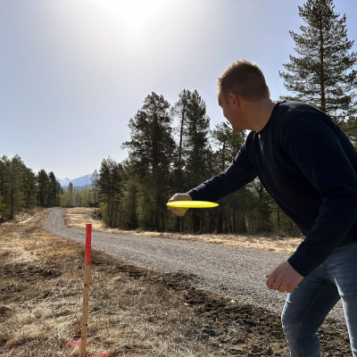 Fjordingen På Flo Skue
