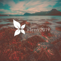 Markus 10, 13-16 | David Skutlaberg | Søndagsgudstjeneste 30.6.2019