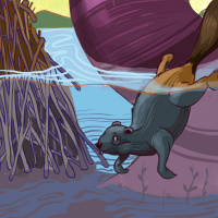 Oh, to čudežno drevo