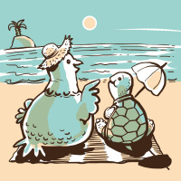 Zgodba o želvi in golobu