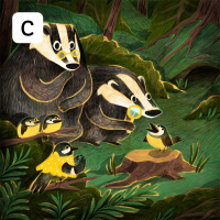 Cicido, cicido!, pripoveduje Maja Končar