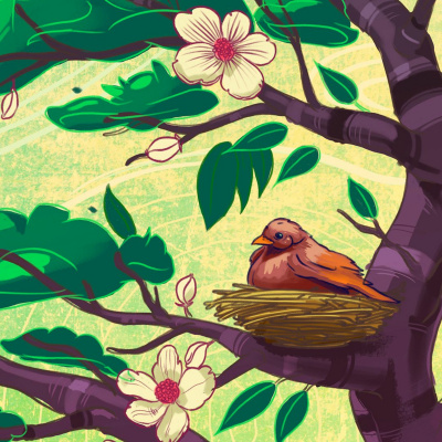 Lahkononice | Zvone Pravljice, Ki Bodo Vae Malke Zazibale V Svet Sanj