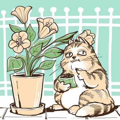 Lahkononice | Zvone Pravljice, Ki Bodo Vae Malke Zazibale V Svet Sanj