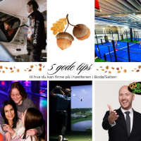 Dette kan du finne på i Høstferien 2024