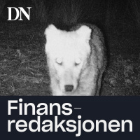 Sommerspesial - Sjakalen - Norges nye rovdyr