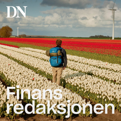 Finansredaksjonen