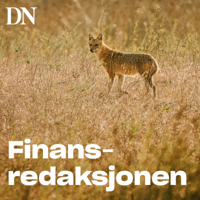 Finansredaksjonen