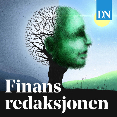 Finansredaksjonen
