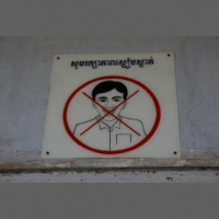 Novinarka Alma Sedlar