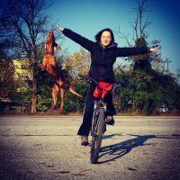 Maja Ptičar - čezmerna jedka