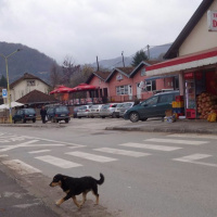 Siniševo delo 02: V državi revežev, starcev in nezaposelnih