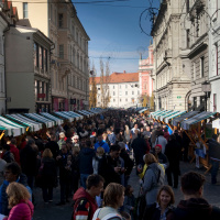 Martinovanje v Ljubljani