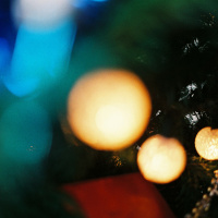 Božični pir – Vaš 202