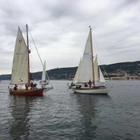 Berti Brus, komentator Barcolane