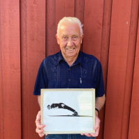 Skihopperen forbi sola – intervju med Torgeir Brandtzæg