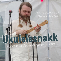 #17 - Amund Doseth Bjorli The Wooden Brain