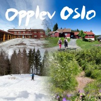 2. Han gjør skogen til et eventyrlig sted for oss alle