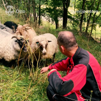 Hovedøya med vaktmester Anders