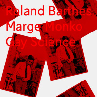 #03 - Roland Barthes Camera lucida (Marge Monkoga)