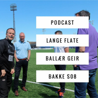 Geir Bakke - hovedtrener S08, .. Midt i uka ..