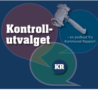 Kontrollutvalget 17. februar