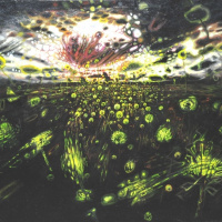 Ајне клајне перверзион